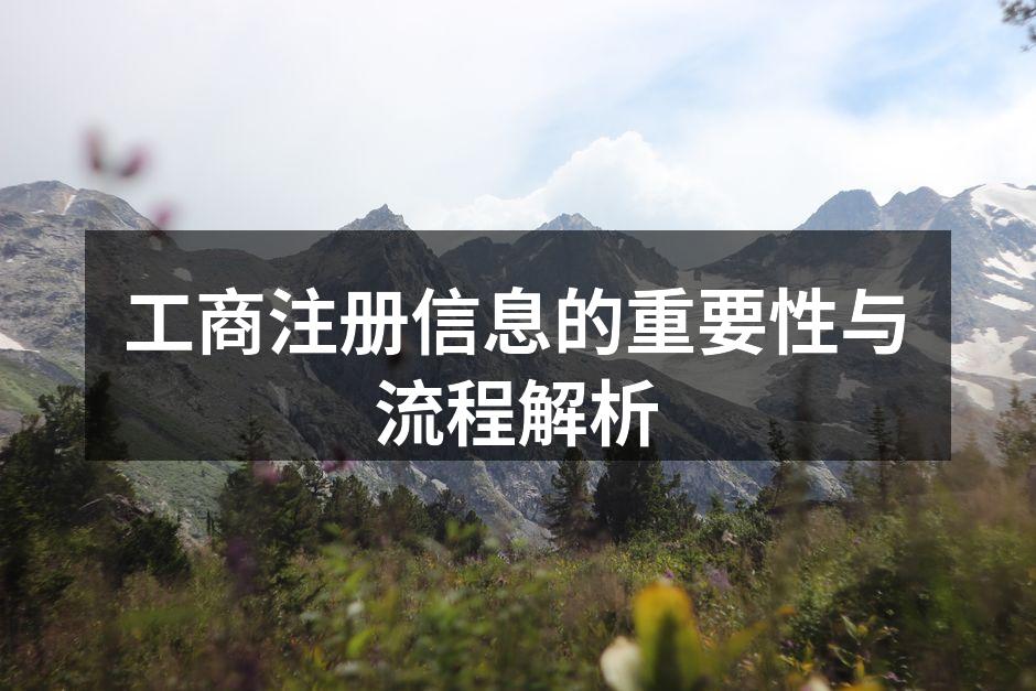 工商注册信息的重要性与流程解析